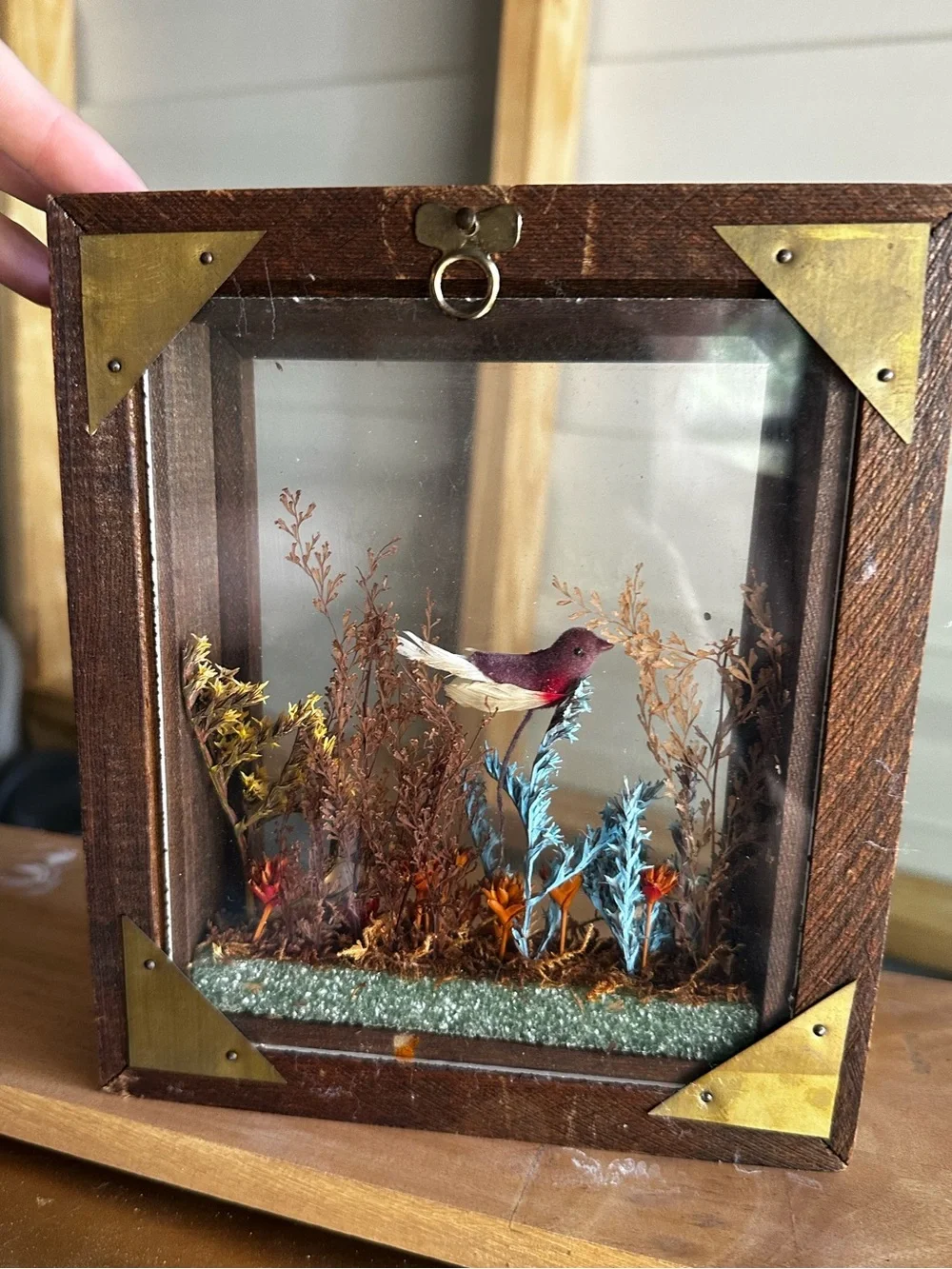 Framed Miniature Shadow Box with Colorful Bird and Dried Floral Scene
